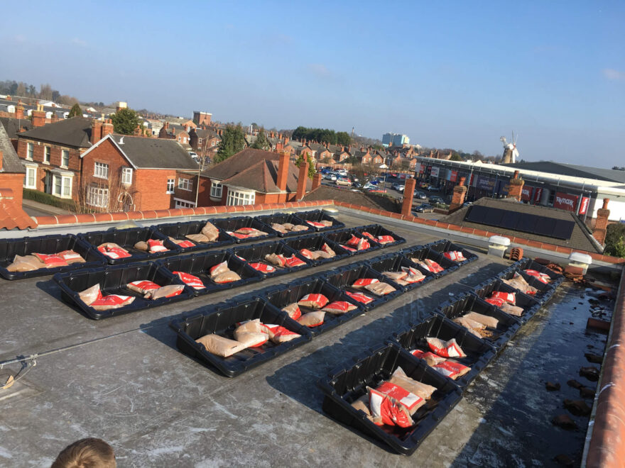 A green bill of health