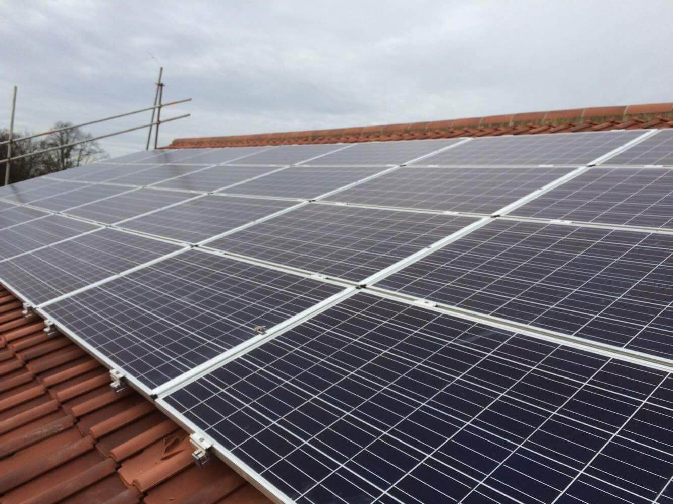 A green bill of health